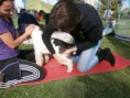 /album/smaragd-agility-kupa/p9220156-2-jpg/